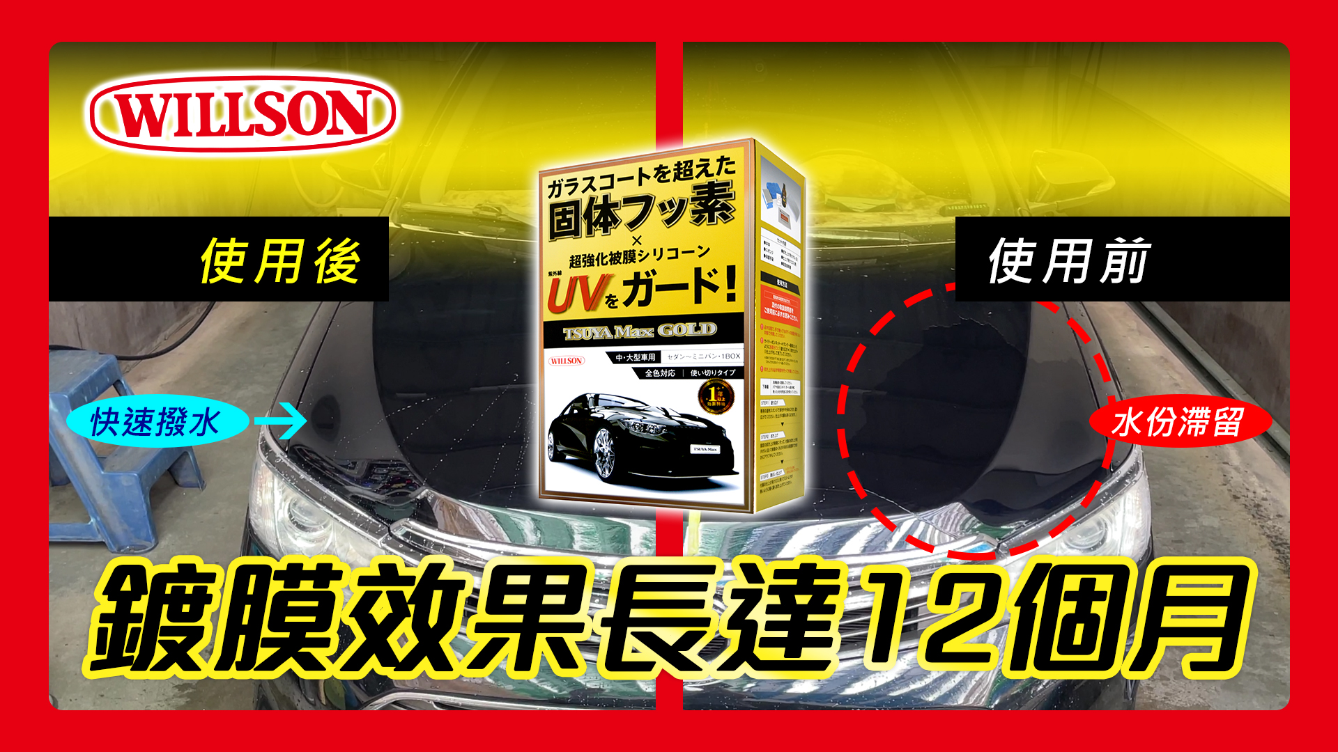 【WILLSON】01305 黃金艷麗鍍膜劑